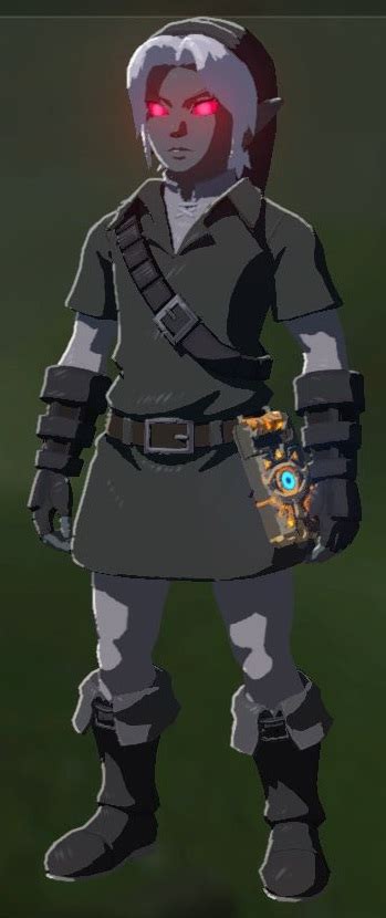 dark link set botw|zelda dark link outfit.